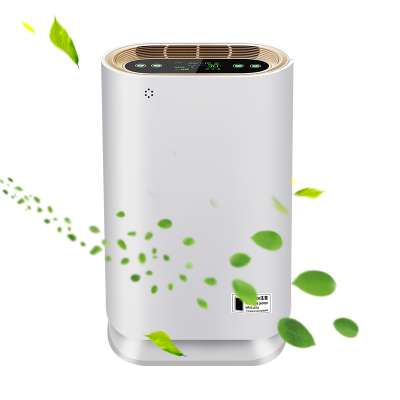 CE certificate Portable Hepa Filter 13 Electronic Masking Air Purifier Reduce PM2.5 and Removal Harmful Gas